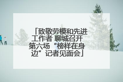 致敬劳模和先进工作者 聊城召开第六场“榜样在身边”记者见面会