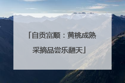 自贡富顺：黄桃成熟 采摘品尝乐翻天