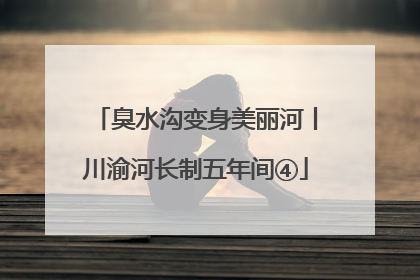臭水沟变身美丽河丨川渝河长制五年间④
