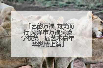 艺韵万福 向美而行 菏泽市万福实验学校第一届艺术嘉年华燃情上演