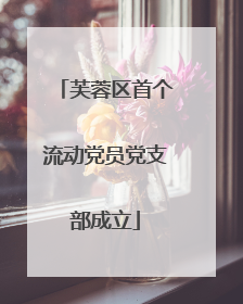 芙蓉区首个流动党员党支部成立