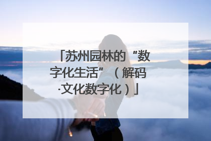 苏州园林的“数字化生活”（解码·文化数字化）