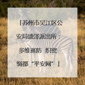 苏州市吴江区公安局盛泽派出所：多维巡防  织密绸都“平安网”