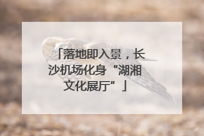 落地即入景，长沙机场化身“湖湘文化展厅”