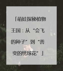 萌娃探秘植物王国：从“会飞的种子”到“善变的绣球花”