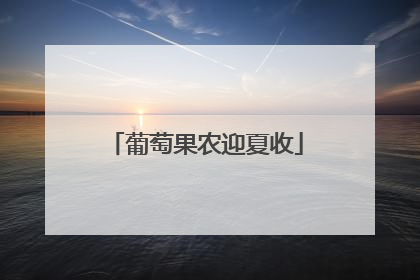 葡萄果农迎夏收