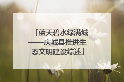 蓝天碧水绿满城——庆城县推进生态文明建设综述