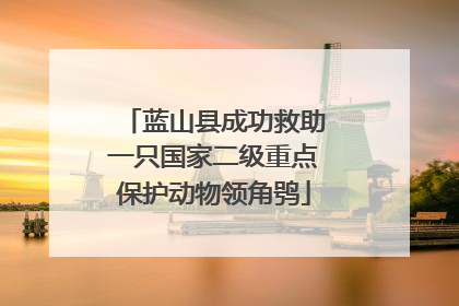 蓝山县成功救助一只国家二级重点保护动物领角鸮