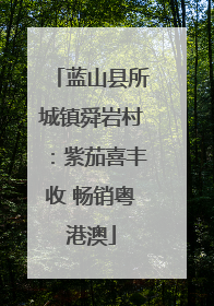 蓝山县所城镇舜岩村：紫茄喜丰收 畅销粤港澳
