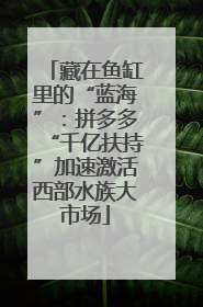 藏在鱼缸里的“蓝海”：拼多多“千亿扶持”加速激活西部水族大市场