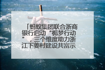 蚂蚁集团联合浙商银行启动“栀梦行动”，三个维度助力浙江下姜村建设共富示范区示范点
