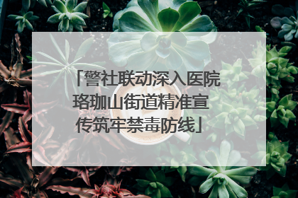 警社联动深入医院 珞珈山街道精准宣传筑牢禁毒防线