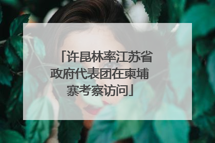 许昆林率江苏省政府代表团在柬埔寨考察访问