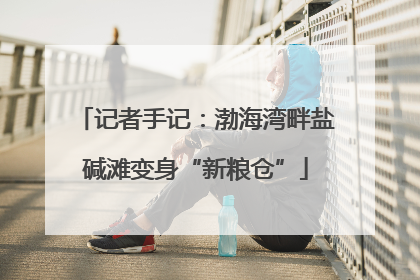 记者手记：渤海湾畔盐碱滩变身“新粮仓”
