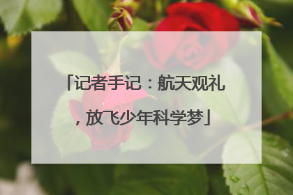 记者手记：航天观礼，放飞少年科学梦