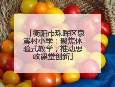 衡阳市珠晖区泉溪村小学：聚焦体验式教学，推动思政课堂创新