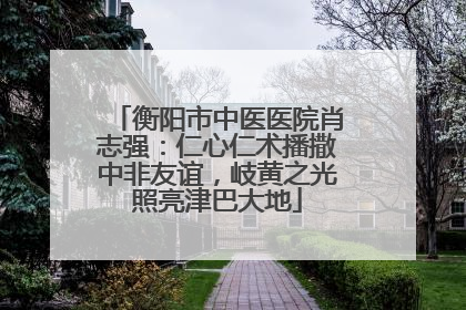 衡阳市中医医院肖志强：仁心仁术播撒中非友谊，岐黄之光照亮津巴大地