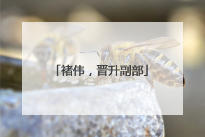 褚伟，晋升副部