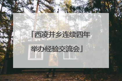 西凌井乡连续四年举办经验交流会