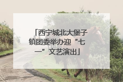 西宁城北大堡子镇团委举办迎“七一”文艺演出