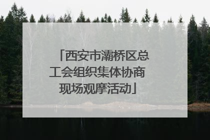西安市灞桥区总工会组织集体协商现场观摩活动