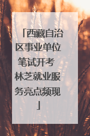西藏自治区事业单位笔试开考 林芝就业服务亮点频现