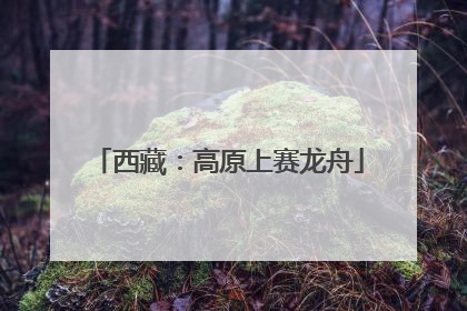 西藏：高原上赛龙舟