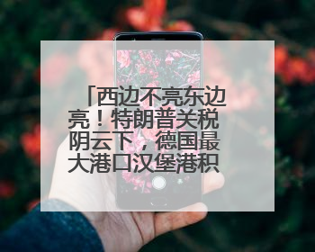 西边不亮东边亮！特朗普关税阴云下，德国最大港口汉堡港积极“向东看”