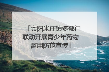 襄阳米庄镇多部门联动开展青少年药物滥用防范宣传