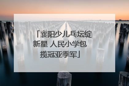 襄阳少儿乓坛绽新星 人民小学包揽冠亚季军
