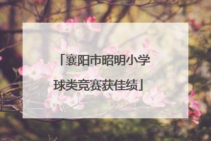 襄阳市昭明小学球类竞赛获佳绩