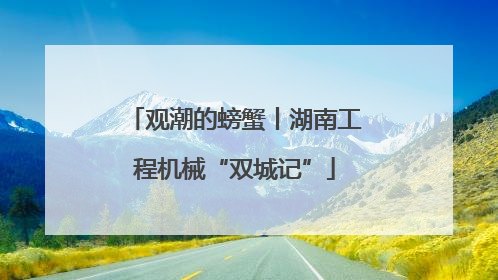 观潮的螃蟹丨湖南工程机械“双城记”