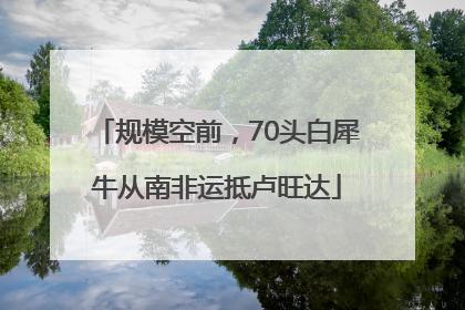 规模空前，70头白犀牛从南非运抵卢旺达