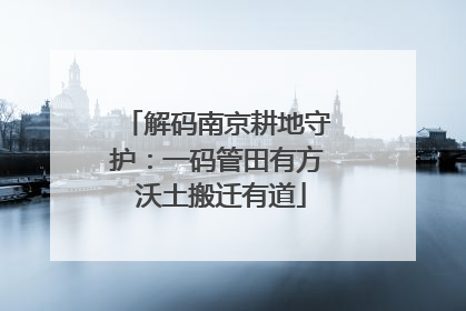 解码南京耕地守护：一码管田有方 沃土搬迁有道