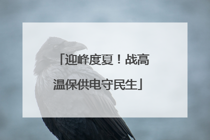 迎峰度夏！战高温保供电守民生