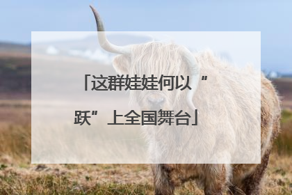 这群娃娃何以“跃”上全国舞台
