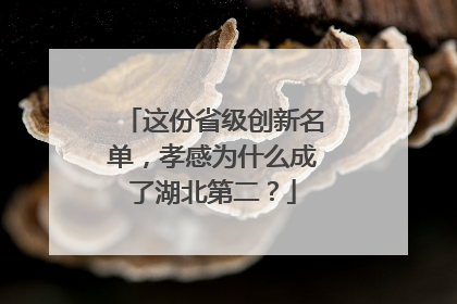 这份省级创新名单，孝感为什么成了湖北第二？