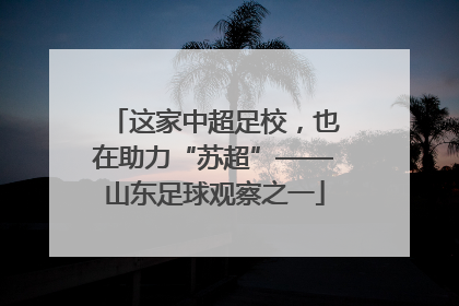 这家中超足校，也在助力“苏超”——山东足球观察之一