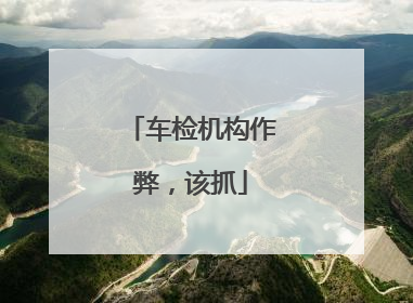 车检机构作弊，该抓