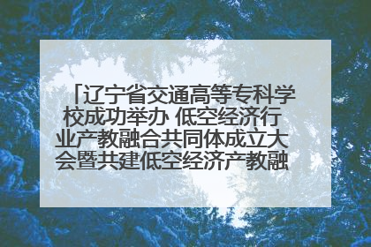 辽宁省交通高等专科学校成功举办 低空经济行业产教融合共同体成立大会暨共建低空经济产教融合新生态论坛