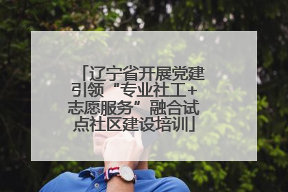 辽宁省开展党建引领“专业社工+志愿服务”融合试点社区建设培训