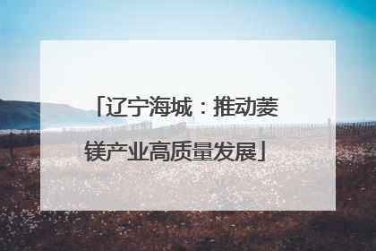 辽宁海城：推动菱镁产业高质量发展