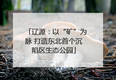 辽源：以“矿”为脉 打造东北首个沉陷区生态公园