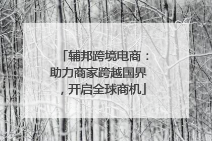 辅邦跨境电商：助力商家跨越国界，开启全球商机