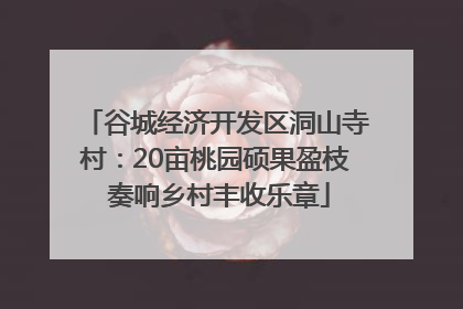 谷城经济开发区洞山寺村：20亩桃园硕果盈枝 奏响乡村丰收乐章