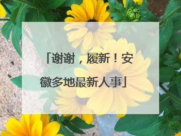 谢谢，履新！安徽多地最新人事