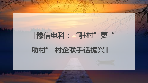 豫信电科：“驻村”更“助村” 村企联手话振兴