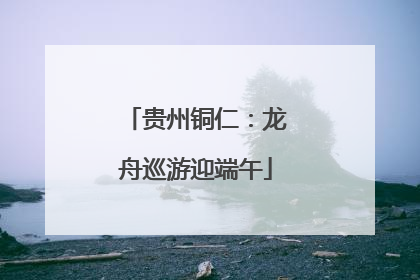 贵州铜仁：龙舟巡游迎端午