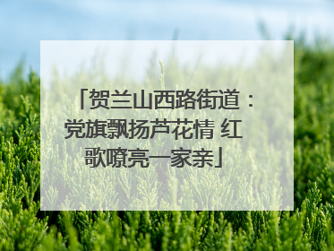 贺兰山西路街道：党旗飘扬芦花情 红歌嘹亮一家亲