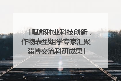 赋能种业科技创新，作物表型组学专家汇聚淄博交流科研成果